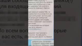 СБУ затримала в Одесі блогерів, які "зливали" локації працівників ТЦК у канали ФСБ