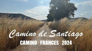  Camino de Santiago - Camino Frances #1 | 500 Miles (800KM) | 2024 July - August | 31 Days