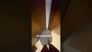Чем кормят в Дубае?