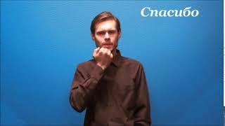 Язык жестов. Спасибо