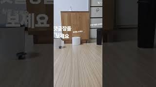 유행지난거 같은 영상...#구독과좋아요 @수상한도도