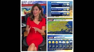 Cindy Fitzgibbon 11/12/2024 WCVB 5 ABC