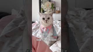大概只有养猫人才懂这一刻有多幸福吧#幸福具象化 #只有养猫人才知道这有多幸福 #养猫人的快乐 #小猫喊妈妈 #皮蛋猪 #寵物友善日常 #猫咪的迷惑行为