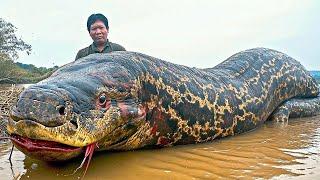 Os 20 Maiores Monstros Amazônicos Já Capturados Por Câmeras!