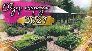 Garden. обзор нашего огорода на даче 2021 / шикарный огород своими руками