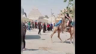 Pyramids in Egypt!  #pyramids #egypt #shortsvideo #Nengleatv  ️