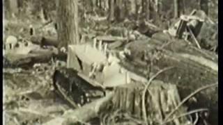 Allison Logging - Coastal Logging in the early 20th Century