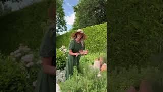 5 things I wish I’d known when I started my kitchen garden 🫛 #cotswoldslife #kitchengarden en