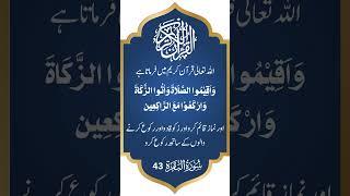Namaz & Zakat ! Best islamic Quotes for Life ! Light of Islam 92 l