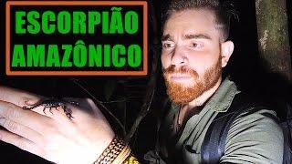 ESCORPIÃO AMAZÔNICO! (com Manaus Selvagem)