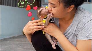 Baby monkey Lyly first knows how to kiss her mother!