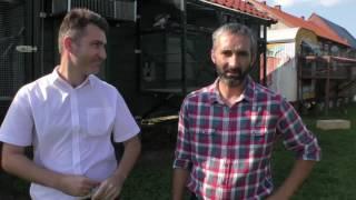 www.SuperGolab.pl  - prezentacja gołębi braci Kosińskich na aukcję charytatywną
