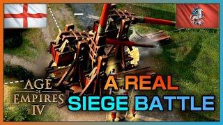 You can't kill Trebuchets Anymore in Age of Empires IV