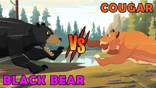 Black Bear vs Cougar | Woodland Fight Club [S1] | Animal Animation