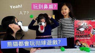 [Family game] Please Don't Feed the Pandas 熊貓都會玩拋球遊戲? 玩到鼻扁? / 親子遊戲 / 家庭遊戲