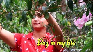 എന്റെ ഒരു ദിവസം / Day in my life