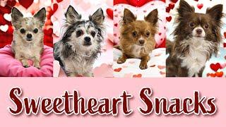 Valentines' sweetheart snack for the chihuahuas. Lucy does the unexpected!