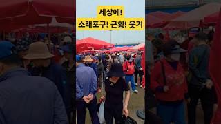 인천소래포구 황당 근황! #시장 #맛집 #폭락 #소래포구 #바가지