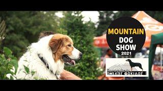 Mountain Dog Show 2021