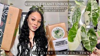  The Green Escape + Rare Plant Fairy Unboxing | Wishlist Plant Mail | Plant Haul Houseplant 2024