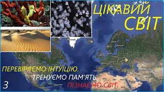 ЦІКАВИЙ СВІТ-3. ПЕРЕВІРТЕ СВОЮ ІНТУЇЦІЮ  (правильна відповідь, вас здивує). #вікторина #quiz