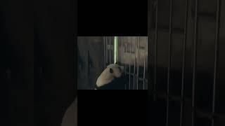 萌大开局吓跑新奶妈 #熊猫生活 #panda #大熊猫 #搞笑