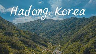 Hadong, the BEST place to appreciate the beautiful nature in Korea.