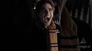 This is exactly how i remember Harry Potter