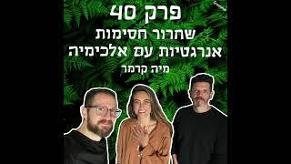 גריניוז (Greenews) פרק 40: שחרור חסימות אנרגטיות עם אלכימיה - מיה קרמר