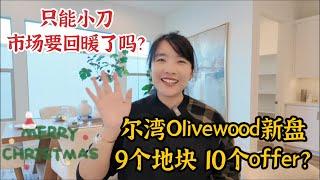 ModelHomeVLOG_65 尔湾Olivewood新盘-9个地块10个offer？！建商不再让步，只能小刀。市场这是要回暖了吗？|尔湾地产经纪挑挑