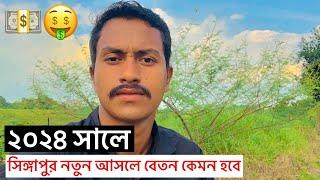 সিঙ্গাপুরে নতুন লোক আসলে বেতন কেমন হবেTasin Joy