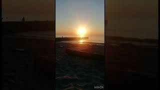 Nature through the eyes of man. The beauty of planet earth. Forest #shorts #sea #meditation #short