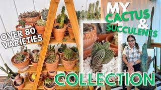 Cacti and Succulent Plant Tour!!! Over 80 varieties! 