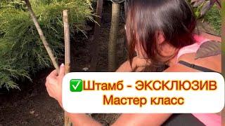 МАСТЕР КЛАСС - ШТАМБ ЭКСКЛЮЗИВ СВОИМИ РУКАМИ‼️ Творите мои Дорогие 