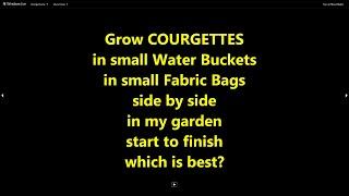 Grow Courgettis /zucchini in small Buckets & small Fabric Bags side by side.  Which is best