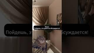 POV:Случай из детства-воскресенье. Подпишись на канал.  #футаж #кот #cat #мем #прикол