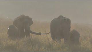 Corbett National Park. Who was Jim Corbett?