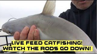 LIVE CATFISHING! Watch the rods and get some catfishing tips!