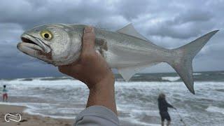 CATCHING BLUEFISH IN ROUGH WATERS | BAD BEACH FISHING CONDITIONS - STILL CATCH FISH!