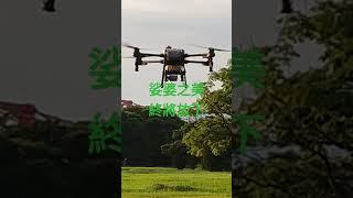 2025年6月8日