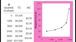 CH 13[micro]: Production and Costs