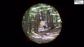 Vortex Strike Eagle 1-6x24 reticle AR-bdc | Optics Trade Reticle Subtensions