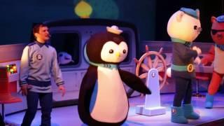 The Octonauts Live at Mayo Performing Arts Center