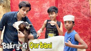 Bakry Ki Qurbani  | Owais Jeeva Ki Kasai sy Larai Hogai 