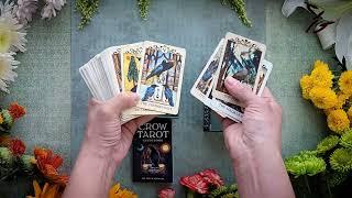 Crow Tarot Pocket Edition Unboxing