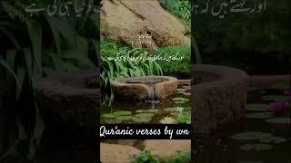 Surah Jasiya urdu translation Ayat