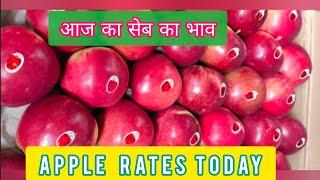 Apple Rates Today in Himachal Pradesh India | Apple wholesale market |