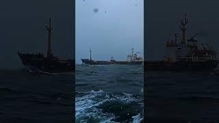 Whiteout at Sea Cargo Ship Navigates Through Snow and Ice #cargoship #ship #marineservices