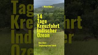 AIDAblue Kreuzfahrt, Indischer Ozean, Mauritius, Bois Cheri Teeplantage und Fabrik