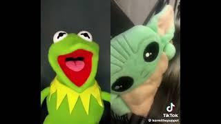 Random Kermit TikTok videos of Summer 2024